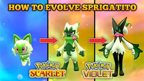 what does sprigatito evolve into|Sprigatito Evolutions, Movesets and Stats